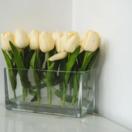 Apartmán New Renovated Mija House - Puerto Banus Quiet And Oasis