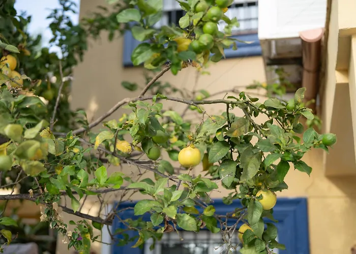 New Renovated Mija House - Puerto Banus Quiet And Oasis Marbella