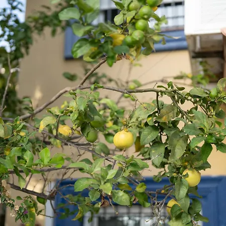 New Renovated Mija House - Puerto Banus Quiet And Oasis מארבלה